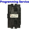 BMW Mini Body Control Module Lear | FRM | FRM3 Module | Light Control Module - Programming Service