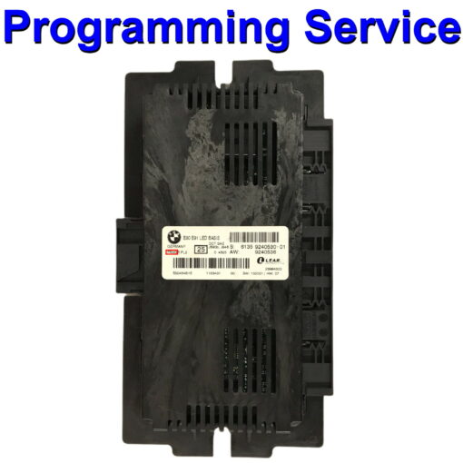 BMW Mini Body Control Module Lear | FRM | FRM3 Module | Light Control Module - Programming Service