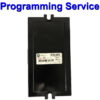 BMW Body Control Module Lear | FRM | FRMFA | Light Control Module FRMFA | Programming Service
