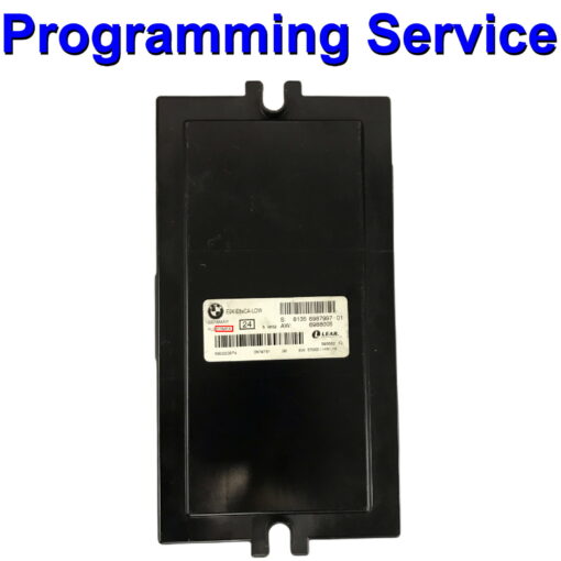 BMW Body Control Module Lear | FRM | FRMFA | Light Control Module FRMFA | Programming Service