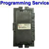 BMW Mini Body Control Module Lear | FRM | FRM2 | Light Control Module - Programming Service