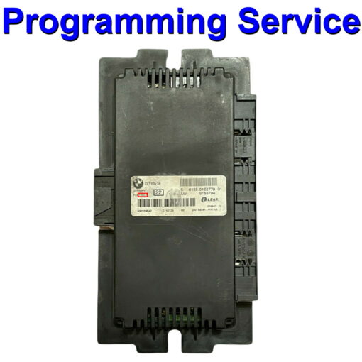 BMW Mini Body Control Module Lear | FRM | FRM2 | Light Control Module - Programming Service