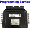 BMW Mini ECU Siemens EMS2 | Programming Service