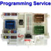 Ford Mondeo / S-Max Body Control Module | Fusebox AG9T-14A073-xx | BG9T-14A073-xx Delphi - Programming Service