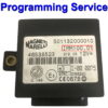 Fiat Immobilizer unit | Key supply IMM100.01 | Magneti Marelli - Programming Service