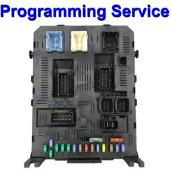 Citroen Peugeot Body Control Module / Fusebox Johnson Controls BSI2004 H0x | BSI04EV K0  | Programming Service
