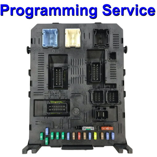 Citroen Peugeot Body Control Module / Fusebox Johnson Controls BSI2004 H0x | BSI04EV K0  | Programming Service