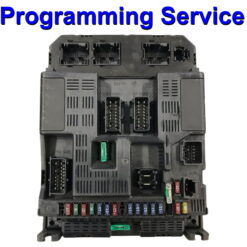 Citroen Peugeot Body Control Module Valeo BSIG0X-00 | Programming Service