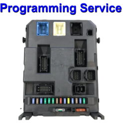Citroen Peugeot Body Control Module | Fusebox Valeo BSIEV-X0x | Programming Service