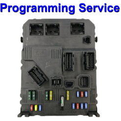 Citroen Peugeot Body Control Module | Fusebox Siemens BSI E0x-00 | BSI F0x-00 | - Programming Service