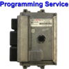 Citroen Peugeot ECU Valeo | V46.11 | V46.12 | V46.13 | Programming Service
