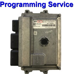 Citroen Peugeot ECU Valeo | V46.11 | V46.12 | V46.13 | Programming Service