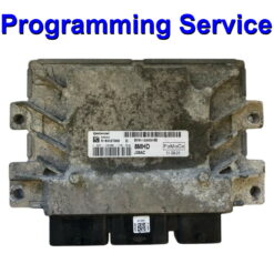 Ford Continental / Siemens ECU EMS2204 | Petrol | Programming Service
