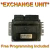 Nissan ECU MEC32-020 / U1  *Plug & Play* (Free programming)