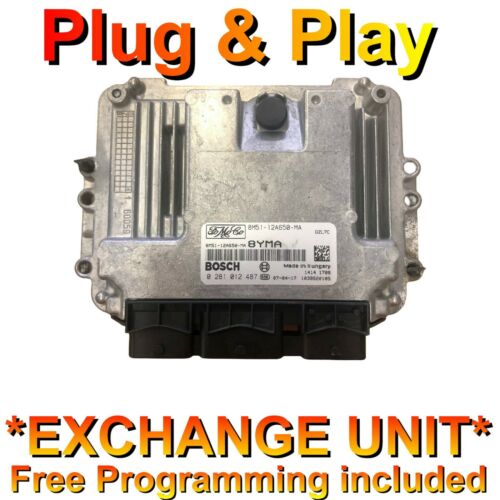 Ford Focus ECU 0281012487 / 8YMA / 8M51-12A650-MA  *Plug & Play* Free programmin
