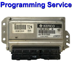 Hyundai Kefico ECU | 39110-      | Programming Service