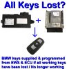 BMW CAS 4 unit / Immobilizer Control Module Unit | Key supply / Programming Service - Key / Transponder 'All Keys Lost'