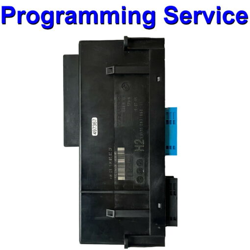 BMW Comfort Control Module / CCM / Body Control Module | Tyco | Programming Service
