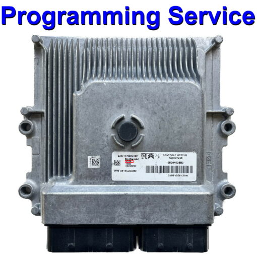 Peugeot / Citroen ECU Continental VD56.1 | VD46.1 | Programming Service (Immo off)