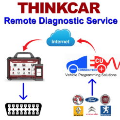 ThinkCar Remote Diagnostic / Programming session