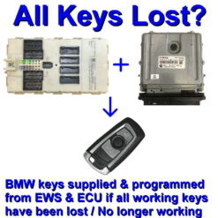 BMW FEM - BDC unit / Immobilizer Control Module / Body Control Module | Key supply / Programming Service