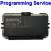 BMW Mini Body Control Module Temic | FRM III | Footwell Module - Programming Service