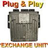 Renault Clio ECU Delphi 8200206670 | HOM8200129063 | DDCR | Plug+Play Exchange unit