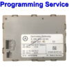 Mercedes Gateway Module ZGS |Programming / Cloning Service