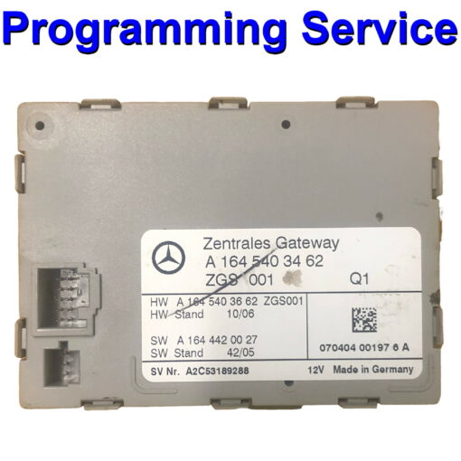 Mercedes Gateway Module ZGS |Programming / Cloning Service
