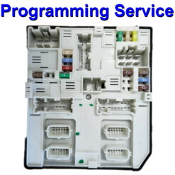 Renault USM - 2010 | Fusebox - Programming Service