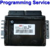 Chevrolet ECU Siemens Continental / Siemens D42 | Programming Service