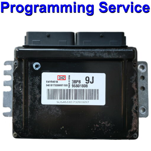 Chevrolet ECU Siemens Continental / Siemens D42 | Programming Service