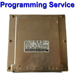 Mercedes Bosch Petrol Engine Control Unit ECU ME2.8 - Programming Service