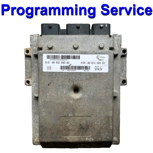 Fiat / Peugeot ECU DCU-102 | Visteon | Programming Service