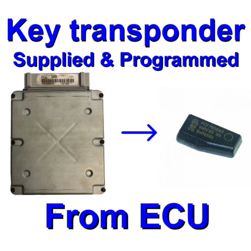 Ford Visteon EEC-V Petrol ECU - Programming Service - Image 3