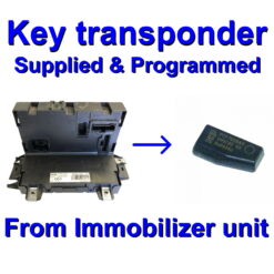 Fiat Panda Body Control Module Siemens VDO NPL169 | Programming Service