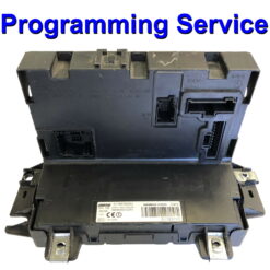 Fiat Panda Body Control Module Siemens VDO NPL169 | Programming Service
