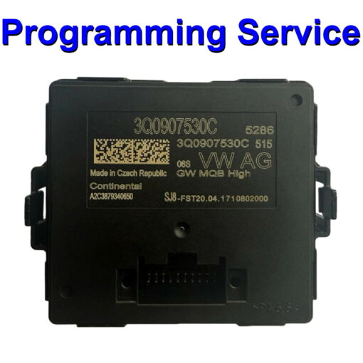 VW Audi Seat Skoda Volkswagen Continental Gateway Control Module Programming Service