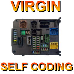 Citroen Peugeot BSI Continental | 9806687880 | BSI-Q03-01 | Virgin Unit