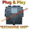 Renault ECU Delphi DDCR | 8200176975 | HOM8200129063 | Plug+Play Exchange unit