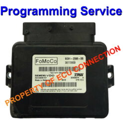 Volvo Siemens VDO | Electronic Handbrake Module | Programming Service