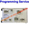 Mercedes-Benz W176 W246 Continental BCM/SAM Unit - Programming Service