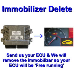 Renault Siemens EMS3132 ECU Programming Service