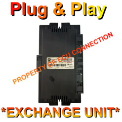 BMW FRM2 | 6135-9166711 | HW10 | Plug+Play Exchange unit