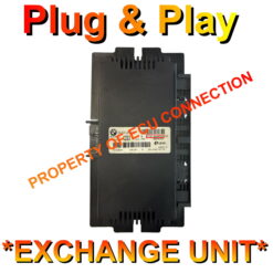 BMW FRM2 | 6135-9204532 | HW08 | Plug+Play Exchange unit