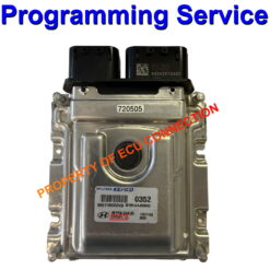 Kia / Hyundai Kefico ECU | CPEGP2.10 | Programming Service